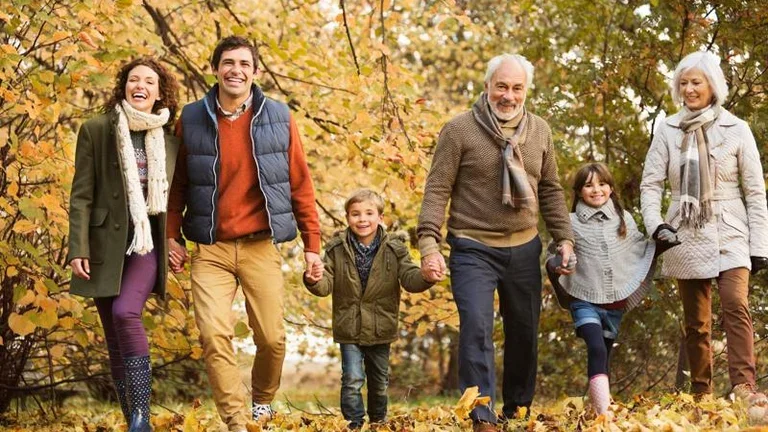 Forest familiy